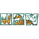 izw