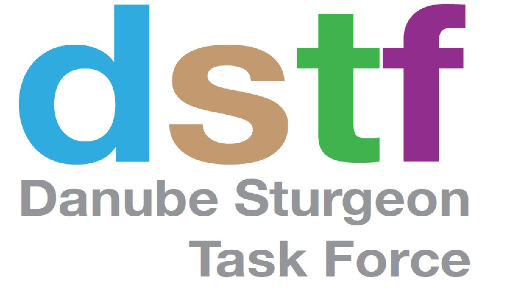 DSTF position paper | WSCS